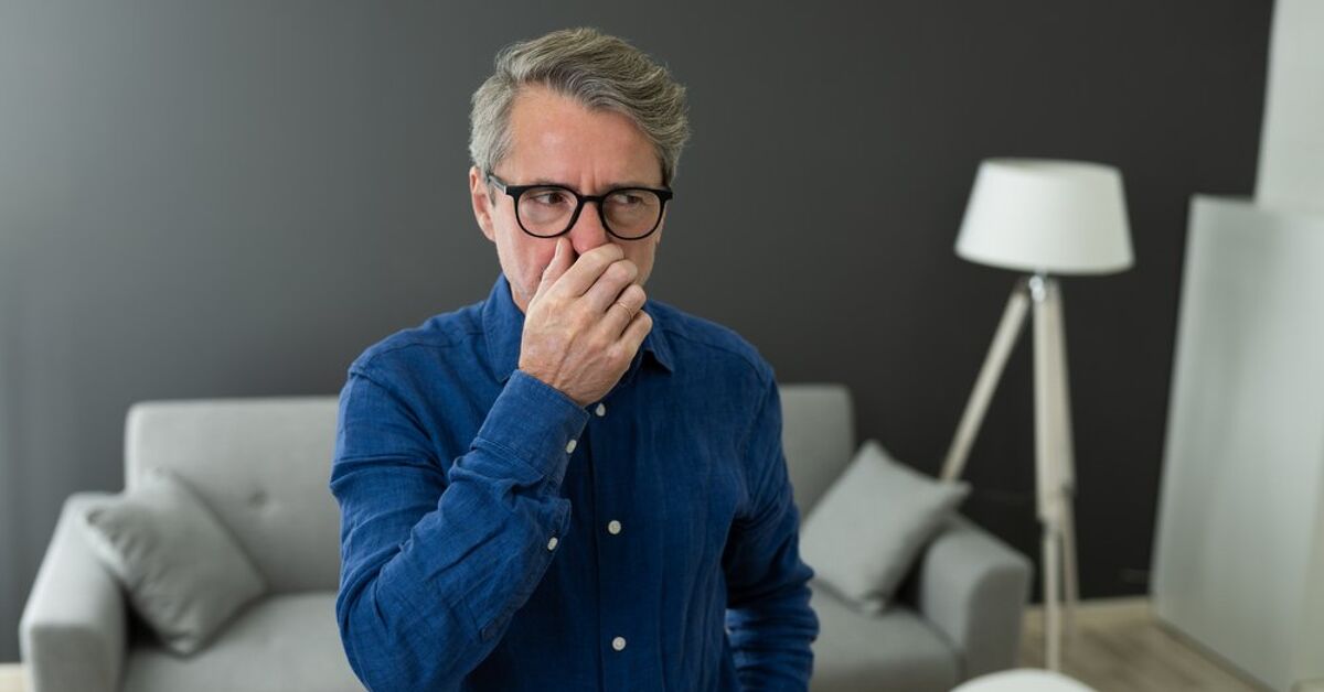 Basement Smells Like Skunk? (Possible Causes & Fixes) | Upgradedhome.com