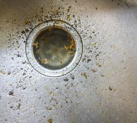 Dishwasher Backing Up Into Garbage Disposal? (Fix It Now!)