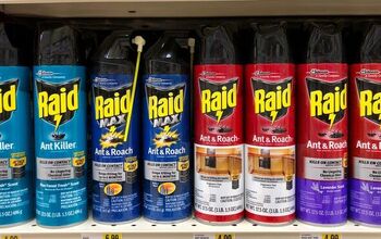How Long After Spraying Raid Is It Safe? (Find Out Now!) | Upgradedhome.com