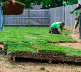 How Much Does Sod Cost? (Pricing Per Type & Square Foot)