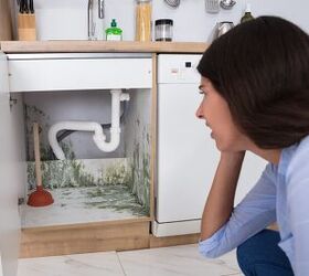 what causes mold in kitchen cabinets find out now