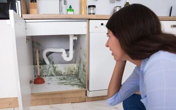 What Causes Mold In Kitchen Cabinets? (Find Out Now!)