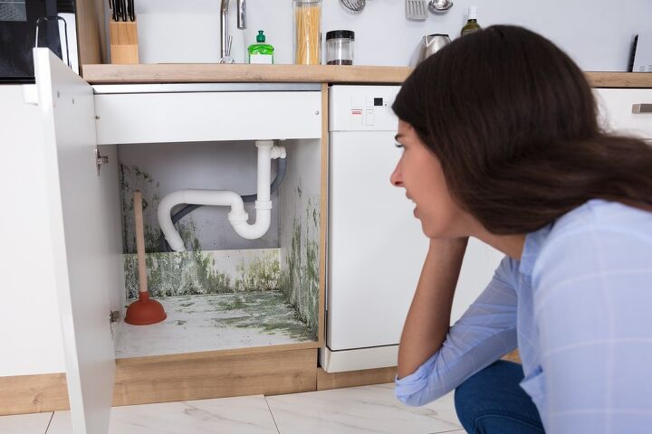 What Causes Mold In Kitchen Cabinets? (Find Out Now!)