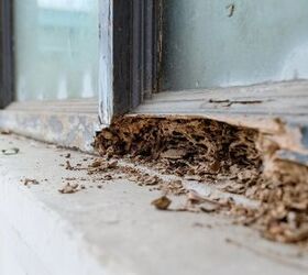 Termite Damage Vs. Water Damage: What Are The Major Differences?