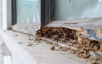 Termite Damage Vs. Water Damage: What Are The Major Differences?