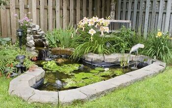 Do You Need A Permit To Build A Pond In Your Backyard?
