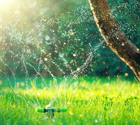 When To Stop Watering Grass? (A State-By-State Guide)