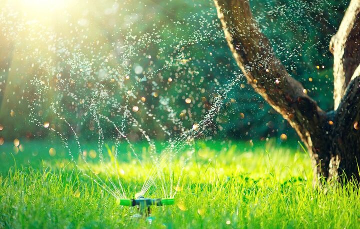 when to stop watering grass a state by state guide