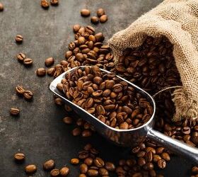 what are the top 7 robusta coffee brands