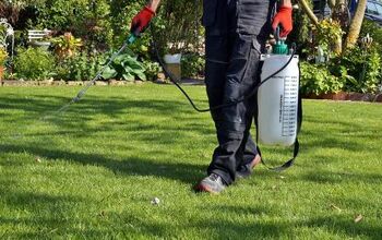 Will Bleach Kill Fleas In Your Yard? (Find Out Now!)