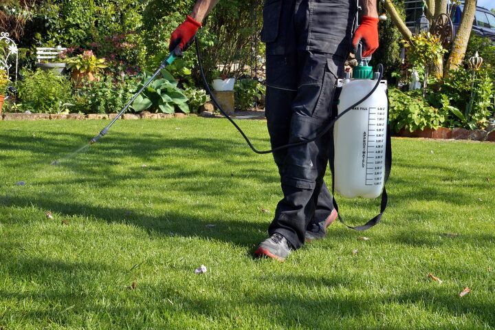 will bleach kill fleas in your yard find out now