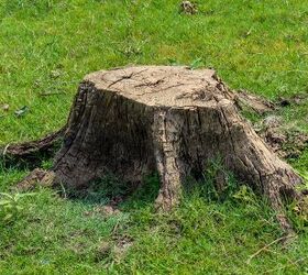 what to do with a tree stump in the front yard do this