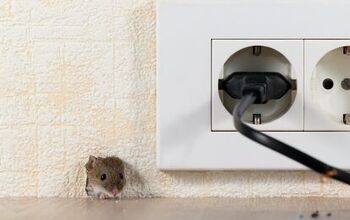 How Do Mice Get In An Upstairs Apartments? (Find Out Now!)