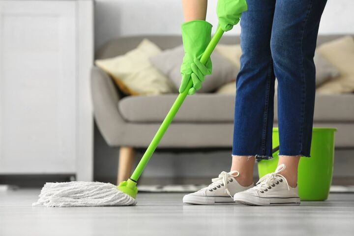 when can i mop after bed bug treatment find out now