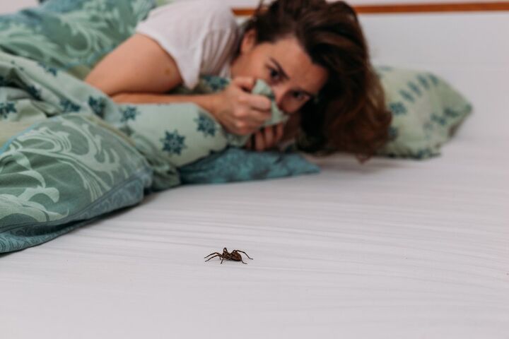 How Long Will A Spider Stay In Your Room? (Find Out Now!)