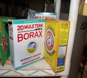 does borax kill mice find out now