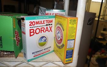 Does Borax Kill Mice? (Find Out Now!)