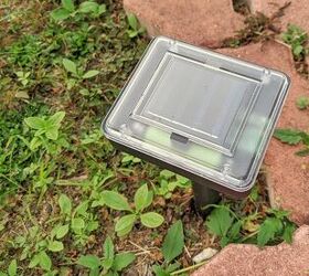 Do Ultrasonic Pest Repellers Work On Squirrels? (Find Out Now!)