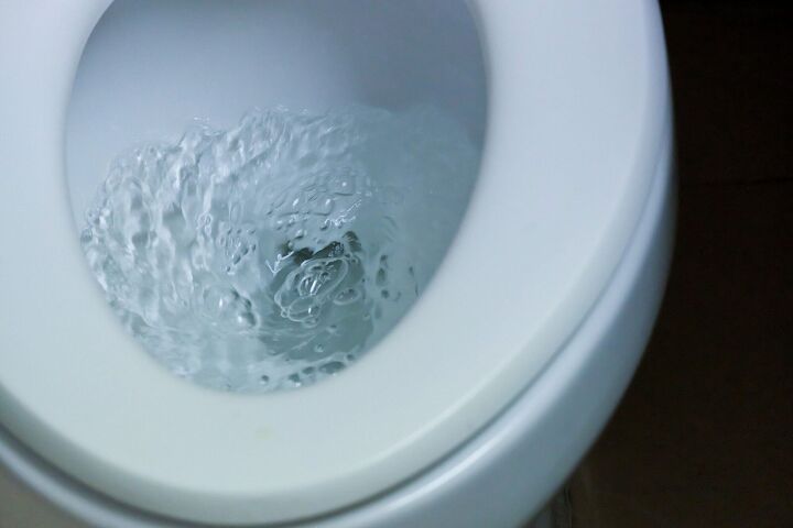 can you flush milk down the toilet find out now