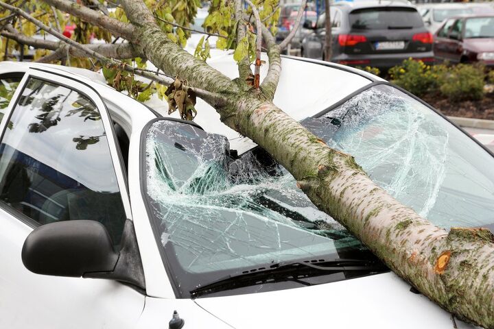 is a landlord responsible for tree damage to a car find out now