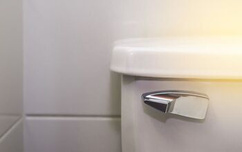 Can You Flush Paper Towels? (Find Out Now!)