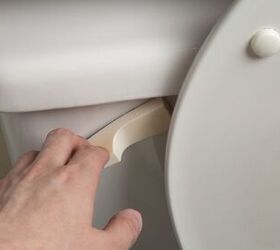 can you flush food down the toilet find out now