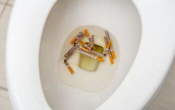 Can You Flush Cigarettes Down The Toilet? (Find Out Now!)