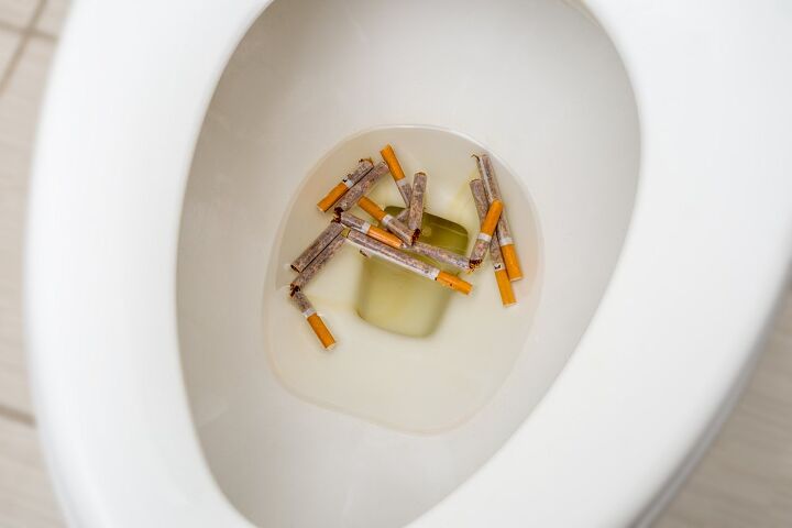 can you flush cigarettes down the toilet find out now