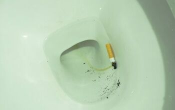 Can You Out A Flush Tobacco Down Toilet? (Find Out Now!)