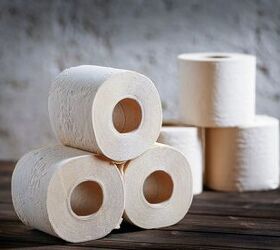 Does Bamboo Toilet Paper Block Drains? (Find Out Now!)