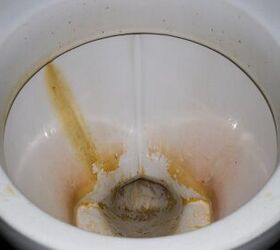 What Causes Urine Scale In A Toilet? (Find Out Now!)