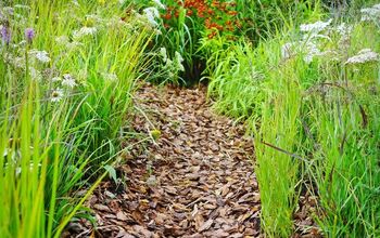 What To Do With Old Mulch (Find Out Now!)