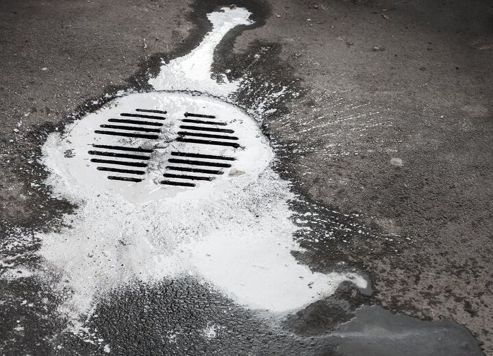 can you pour paint down the drain find out now