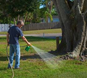 Can You Put Weed Killer On Wet Grass? (Find Out Now!)