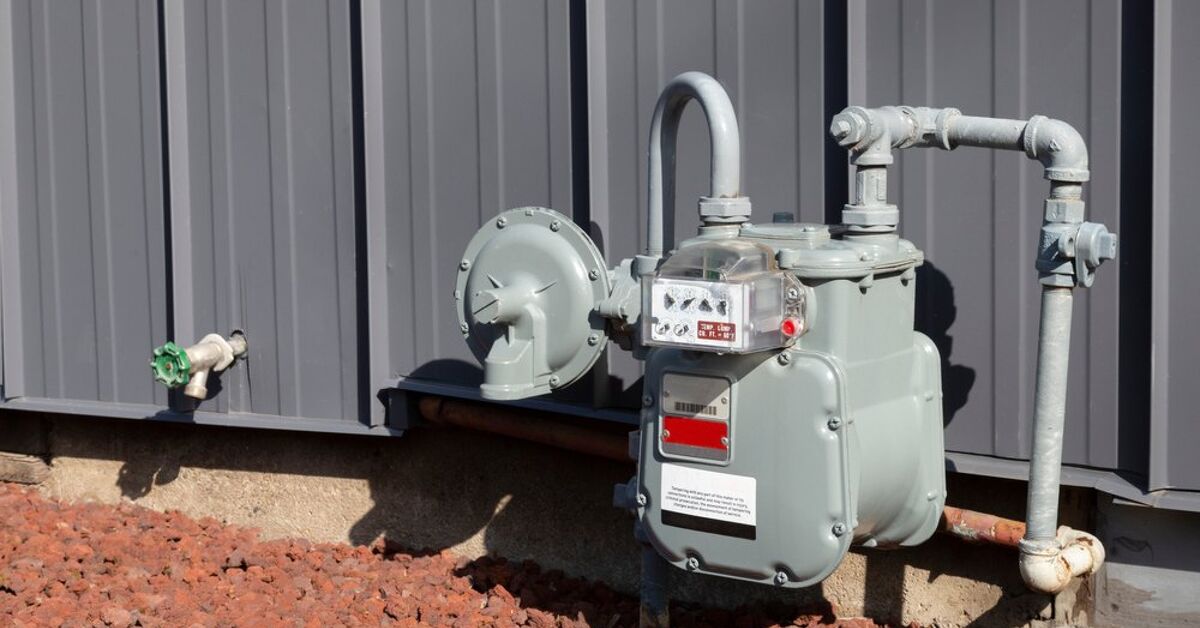How Much Does It Cost to Install a Backflow Preventer?