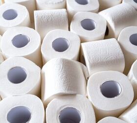 Can You Recycle Toilet Paper? (Find Out Now!)