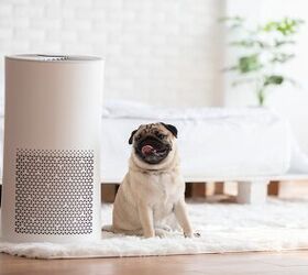 Why Are Air Purifiers So Expensive? (Find Out Now!)
