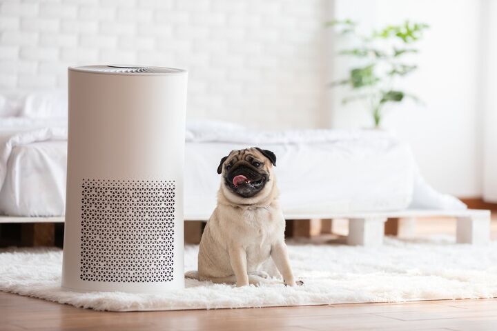 why are air purifiers so expensive find out now
