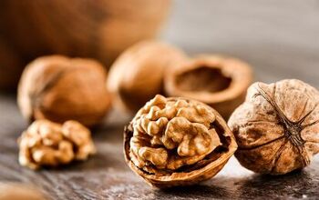 Why Are Walnuts So Expensive? (Find Out Now!)