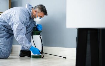 Do I Need To Move Furniture For Pest Control?
