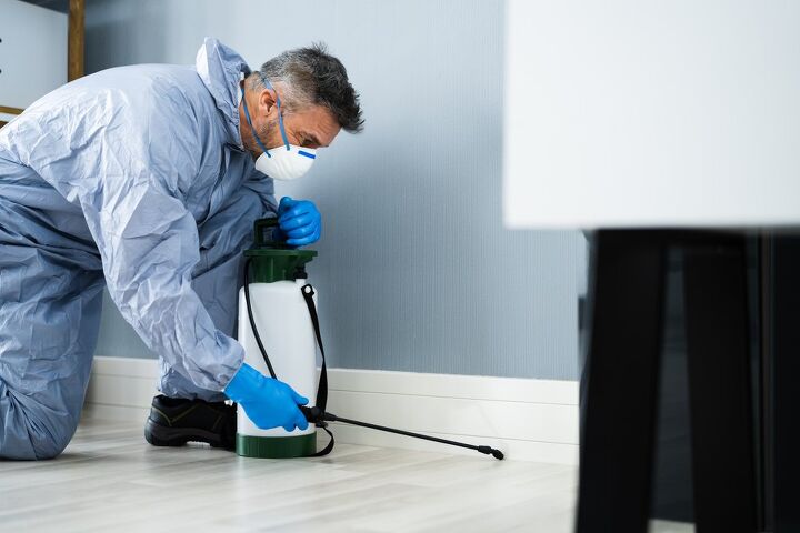 Do I Need To Move Furniture For Pest Control?