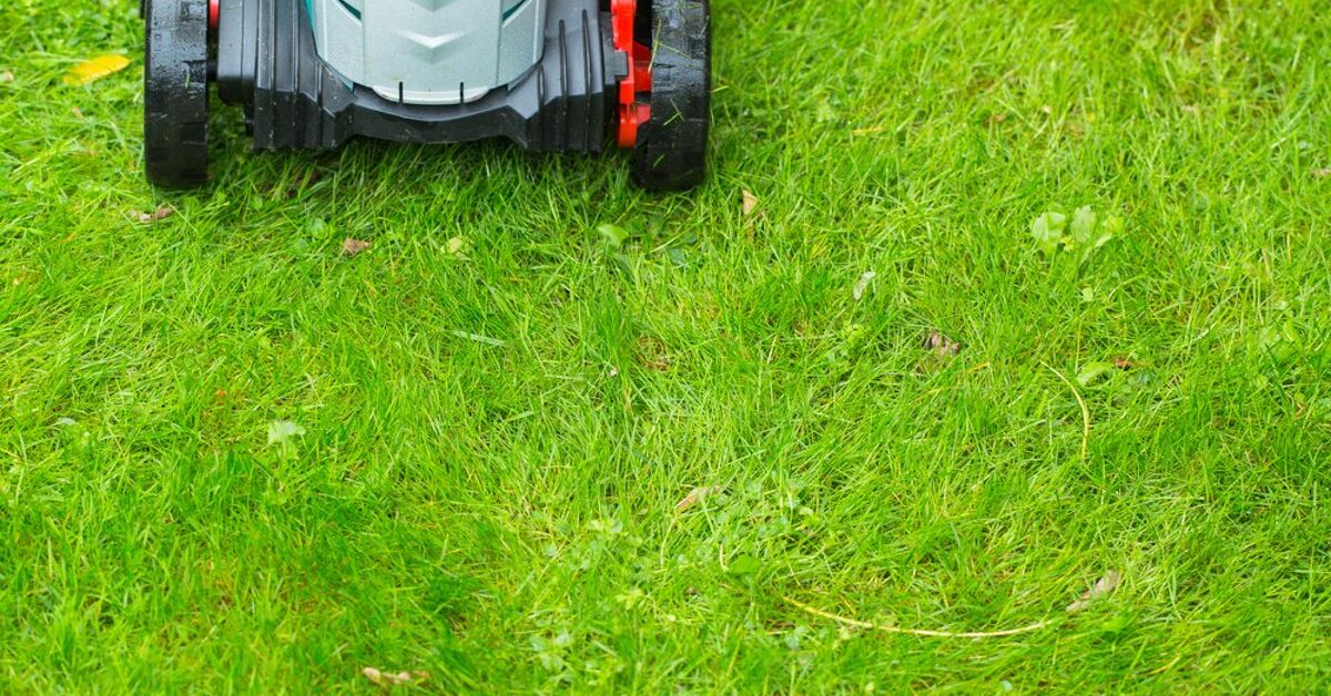 Lush Can Lawn Mowers Get Wet Abstract Art Lush Can Lawn Mowers Get Wet Abstract Art