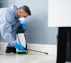 Pest Control Vs. Exterminator: What Are The Major Differences?