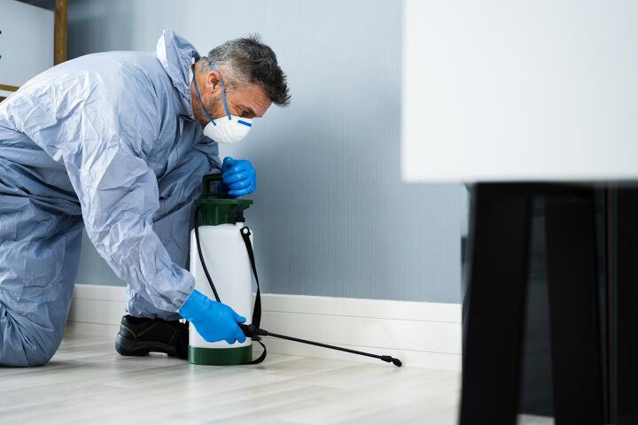 Pest Control Vs. Exterminator: What Are The Major Differences?