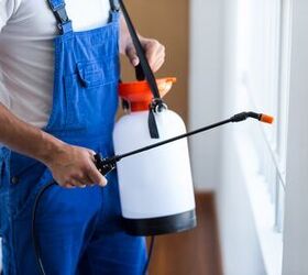 Who Is Responsible For Pest Control On A Rental Property?