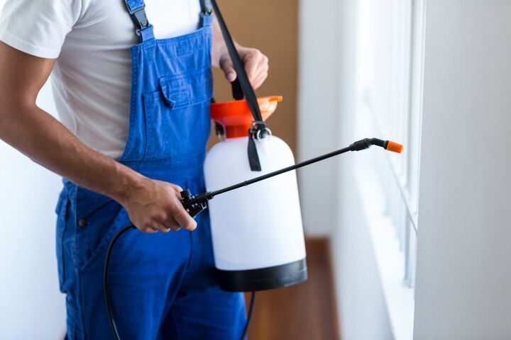 who is responsible for pest control on a rental property