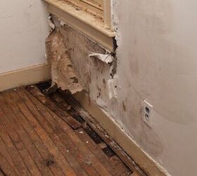 Is Mold Under Flooring Dangerous Upgradedhome Com   Is Mold Under Flooring Dangerous 