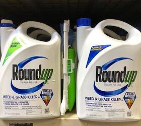 How Long Does Roundup Take To Work?