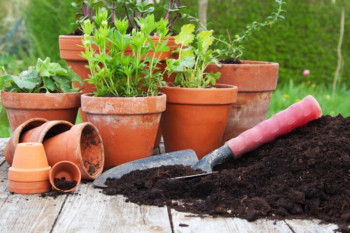 Can You Use Garden Soil In Pots?