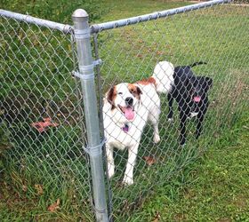 how-to-make-a-chain-link-fence-taller-upgradedhome